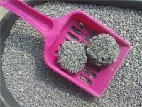 Bentonite Cat Litter Clumping with Scent
